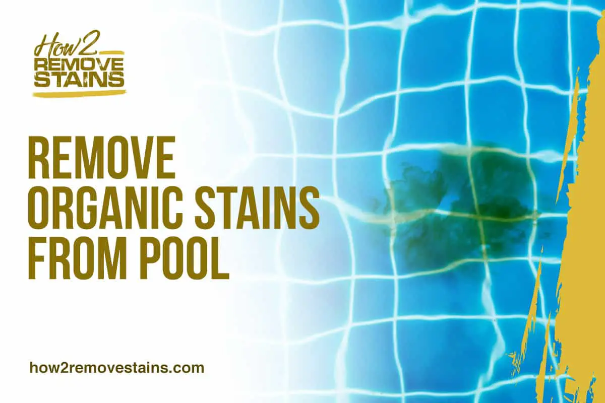 How to remove organic stains from pool