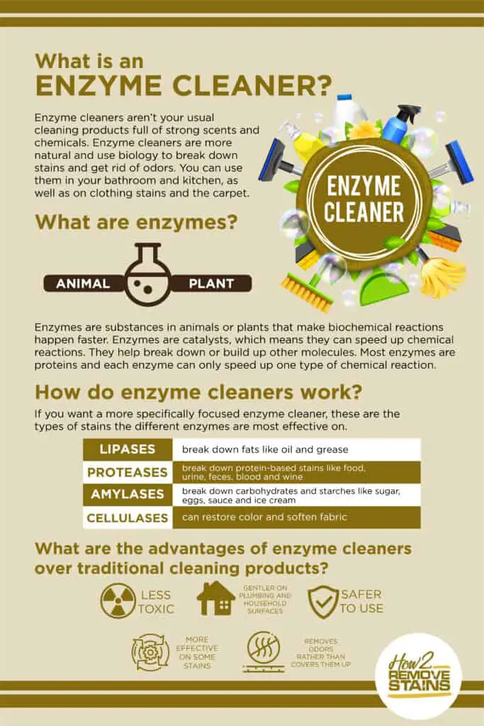 What is an Enzyme Cleaner