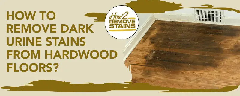 how to remove dark urine stains from hardwood floors