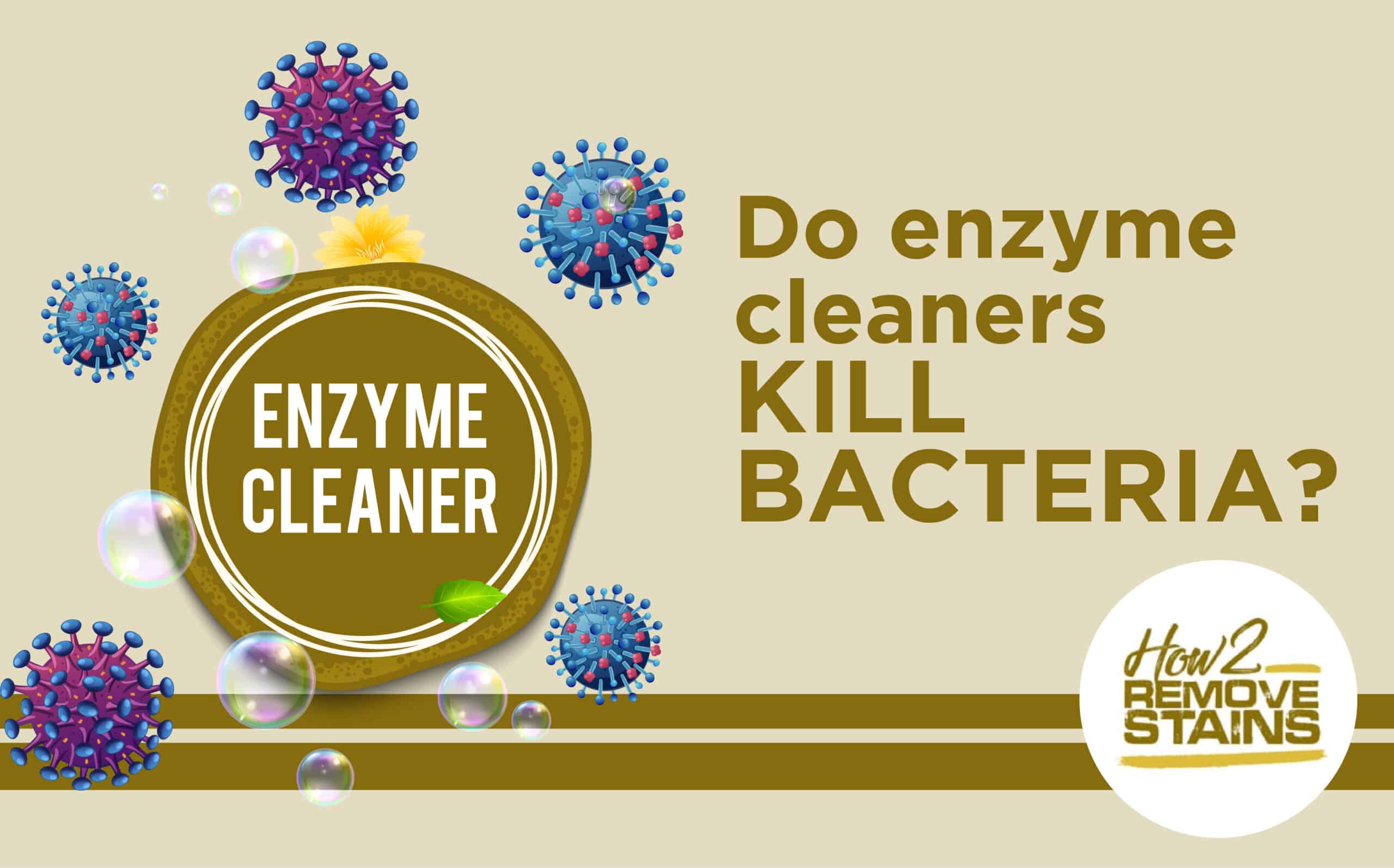 Do enzyme cleaners kill bacteria