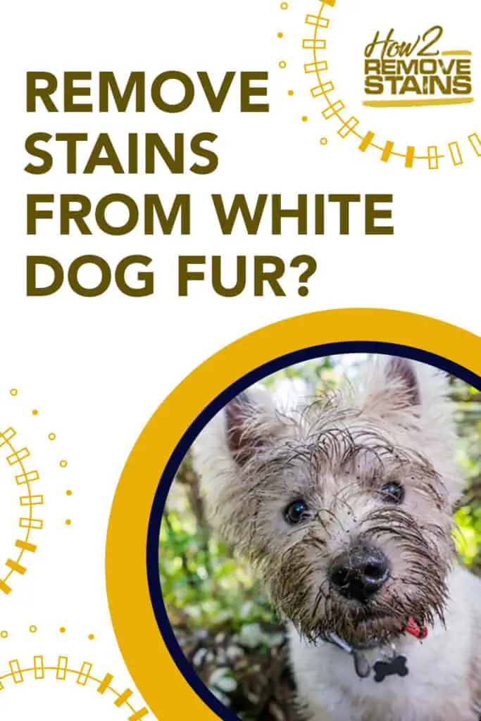 how to remove stains from white dog fur
