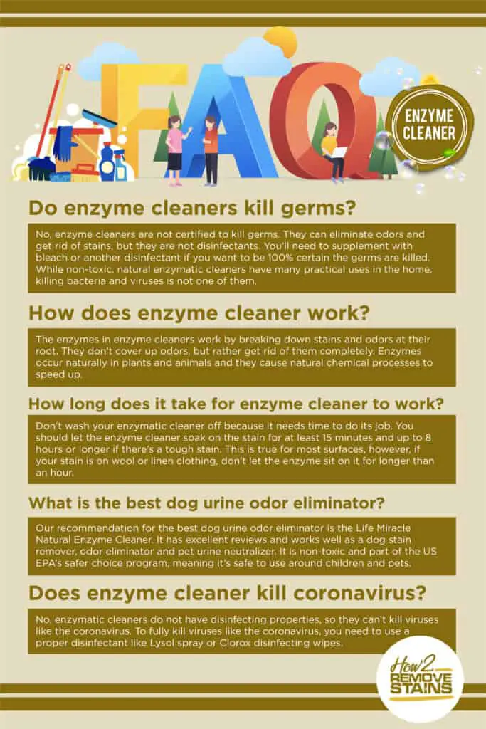 Do enzyme cleaners kill bacteria?
