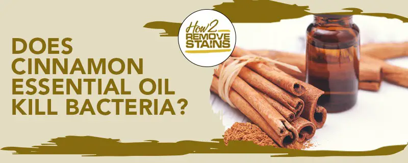 Does cinnamon essential oil kill bacteria?